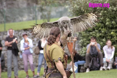 Donjon des Aigles