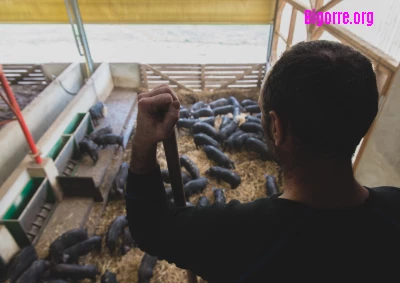 La Ferme de Luis