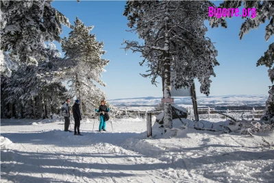 Station de montagne Les Bouviers