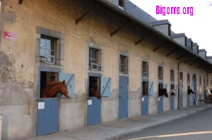 Haras National à Tarbes