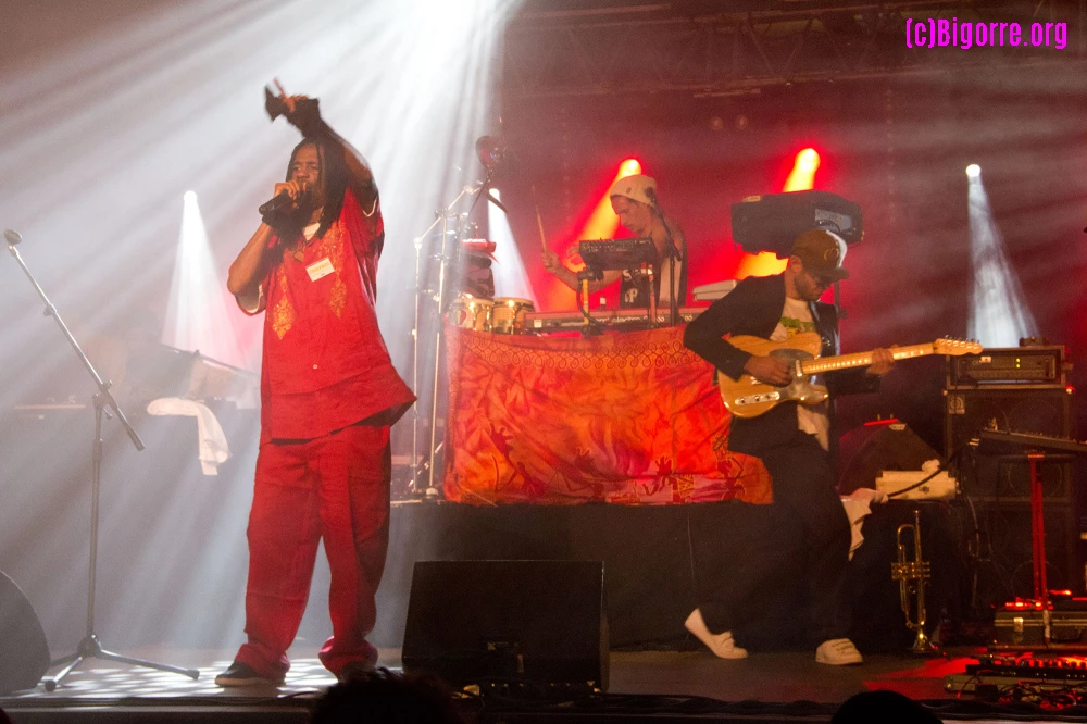 11-12/06/11 : Tarbes Reggae Vibes   