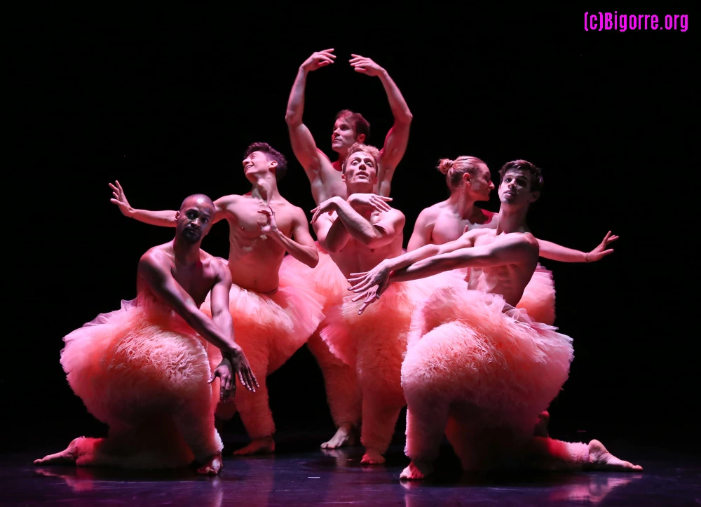 TuTu, photos de Michel Cavalca
