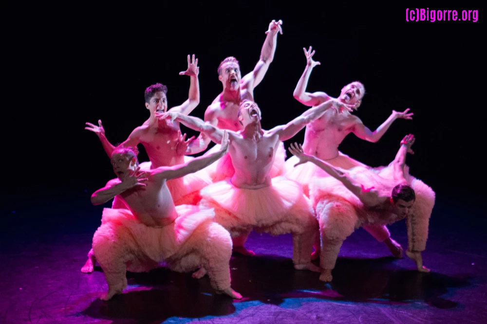 30/06/15 : Tutu en ouverture des Estivales de la danse à Tarbes   