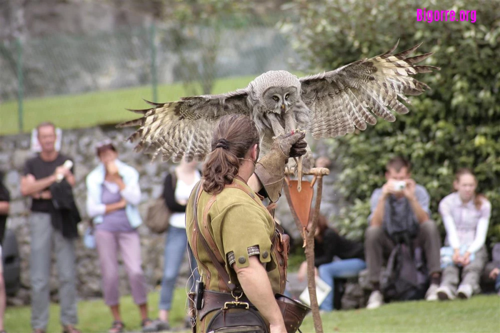 Donjon des Aigles