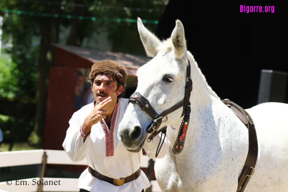 Compagnie Tête de Mule