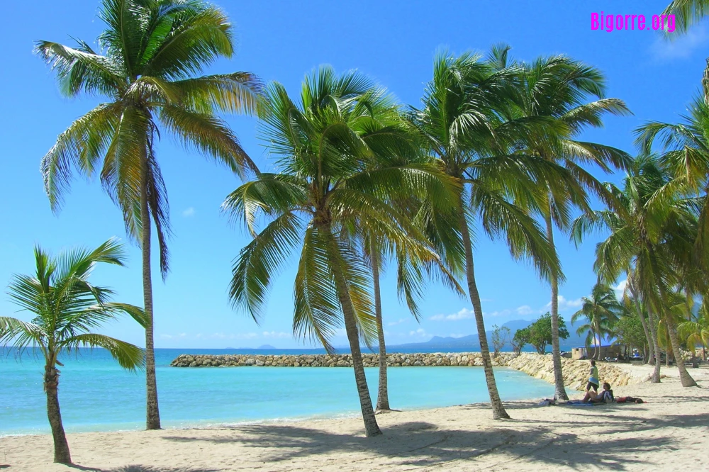 Plage de Sainte-Anne en Guadeloupe, photo Rolland Pomaret (licence CC-BY-2.0)