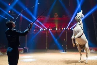 16/02/16 : Le Cirque Amar à Tarbes
