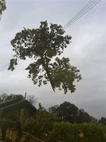 Interventions après la tempête Amélie/ Enedis