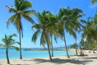 Plage de Sainte-Anne en Guadeloupe, photo Rolland Pomaret (licence CC-BY-2.0)/ Rolland Pomaret