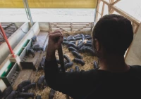 La Ferme de Luis