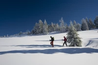 Monts du Pilat