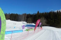 Morbier