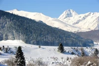 Campan-Payolle