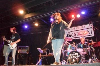The South Crowes The South Crowes